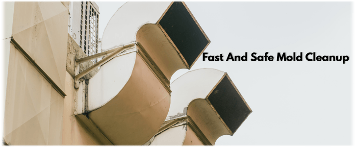Air Duct Mold Removal in Redondo Beach CA